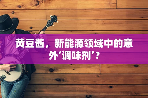 黄豆酱，新能源领域中的意外‘调味剂’？