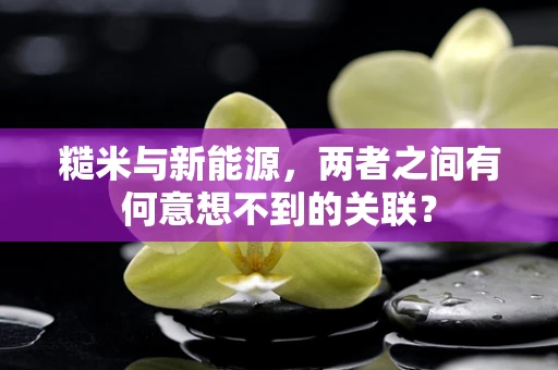 糙米与新能源，两者之间有何意想不到的关联？