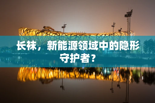 长袜，新能源领域中的隐形守护者？