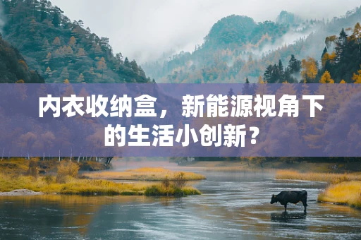 内衣收纳盒，新能源视角下的生活小创新？