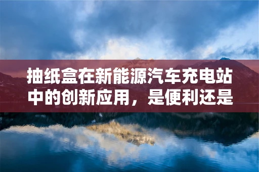 抽纸盒在新能源汽车充电站中的创新应用，是便利还是多余？