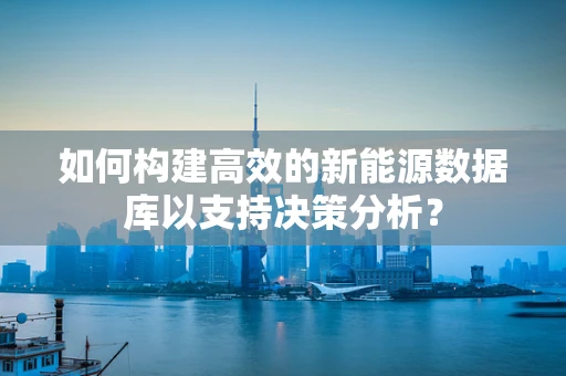 如何构建高效的新能源数据库以支持决策分析？