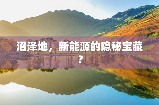 沼泽地，新能源的隐秘宝藏？
