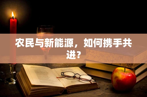 农民与新能源，如何携手共进？
