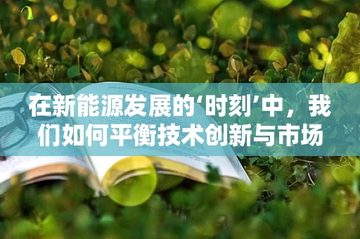 在新能源发展的‘时刻’中，我们如何平衡技术创新与市场适应？