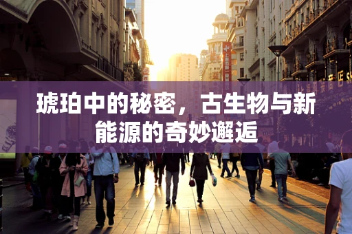 琥珀中的秘密，古生物与新能源的奇妙邂逅