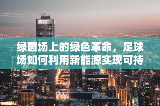 绿茵场上的绿色革命，足球场如何利用新能源实现可持续发展？