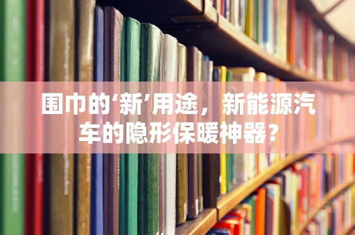 围巾的‘新’用途，新能源汽车的隐形保暖神器？