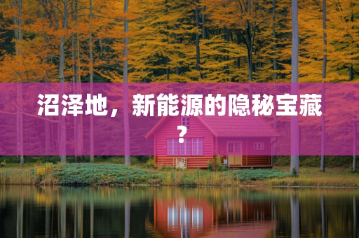 沼泽地，新能源的隐秘宝藏？