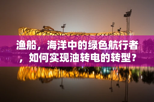 渔船，海洋中的绿色航行者，如何实现油转电的转型？