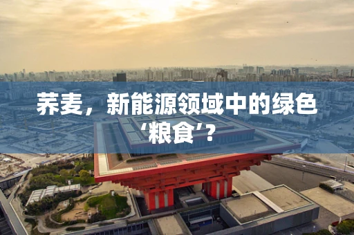 荞麦，新能源领域中的绿色‘粮食’？
