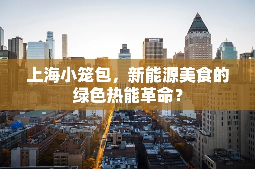 上海小笼包，新能源美食的绿色热能革命？