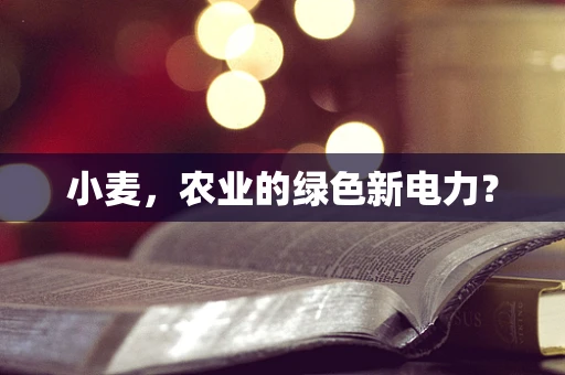 小麦，农业的绿色新电力？