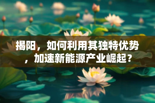 揭阳，如何利用其独特优势，加速新能源产业崛起？