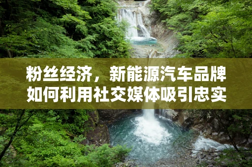 粉丝经济，新能源汽车品牌如何利用社交媒体吸引忠实拥趸？