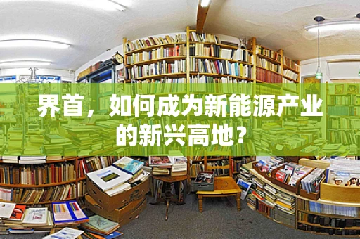 界首，如何成为新能源产业的新兴高地？