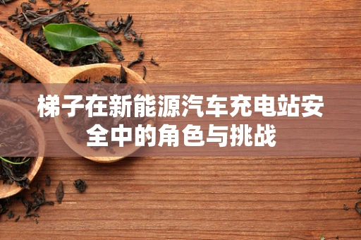梯子在新能源汽车充电站安全中的角色与挑战
