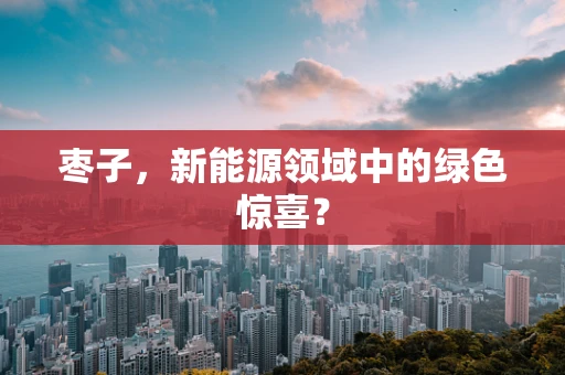 枣子，新能源领域中的绿色惊喜？
