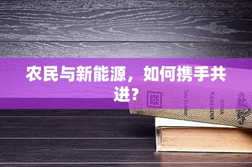 农民与新能源，如何携手共进？