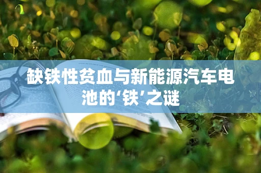 缺铁性贫血与新能源汽车电池的‘铁’之谜