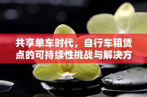 共享单车时代，自行车租赁点的可持续性挑战与解决方案