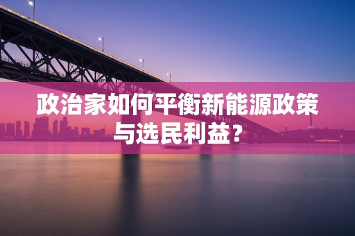 政治家如何平衡新能源政策与选民利益？