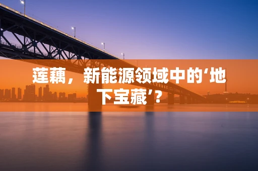 莲藕，新能源领域中的‘地下宝藏’？