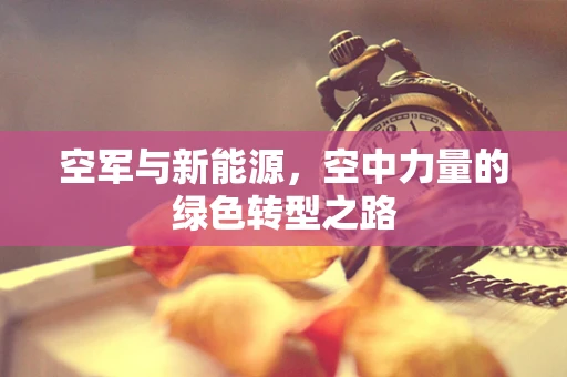 空军与新能源，空中力量的绿色转型之路