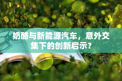 奶酪与新能源汽车，意外交集下的创新启示？