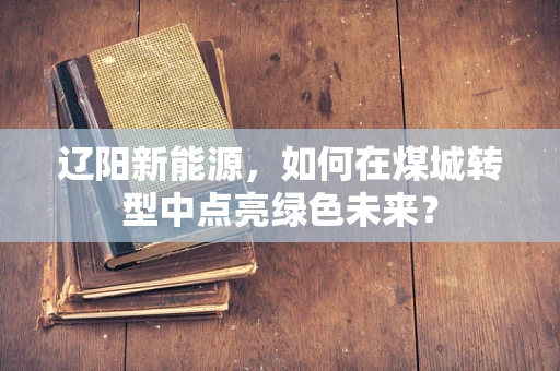 辽阳新能源，如何在煤城转型中点亮绿色未来？