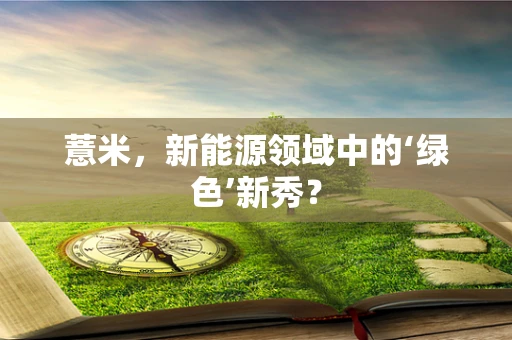 薏米，新能源领域中的‘绿色’新秀？