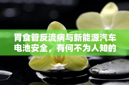胃食管反流病与新能源汽车电池安全，有何不为人知的联系？