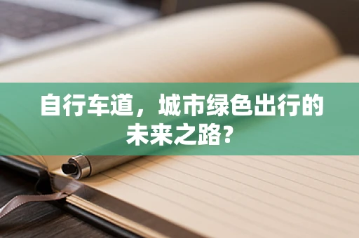 自行车道，城市绿色出行的未来之路？