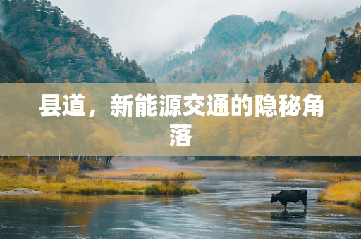 县道，新能源交通的隐秘角落