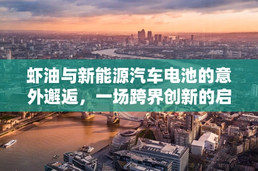 虾油与新能源汽车电池的意外邂逅，一场跨界创新的启示
