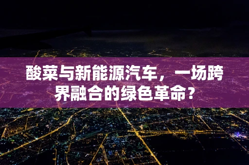 酸菜与新能源汽车，一场跨界融合的绿色革命？
