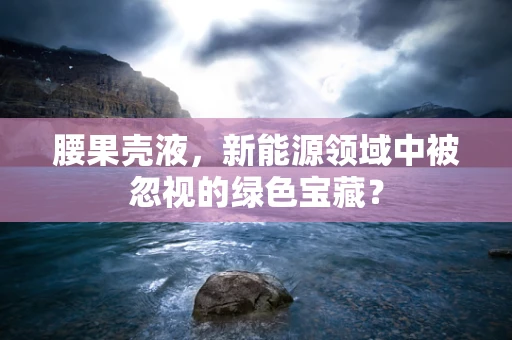 腰果壳液，新能源领域中被忽视的绿色宝藏？