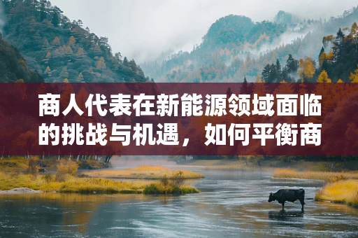 商人代表在新能源领域面临的挑战与机遇，如何平衡商业利益与可持续发展？