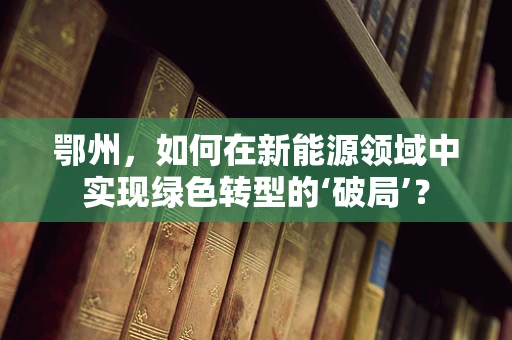 鄂州，如何在新能源领域中实现绿色转型的‘破局’？