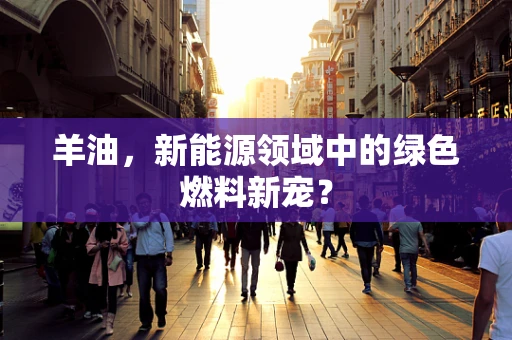 羊油，新能源领域中的绿色燃料新宠？