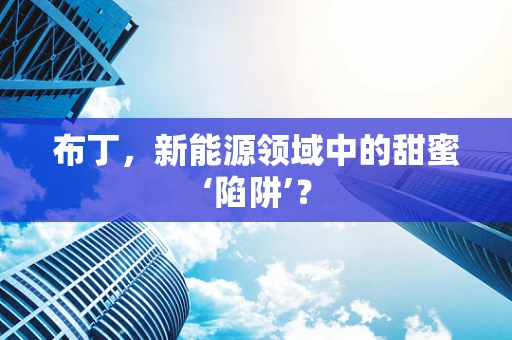 布丁，新能源领域中的甜蜜‘陷阱’？