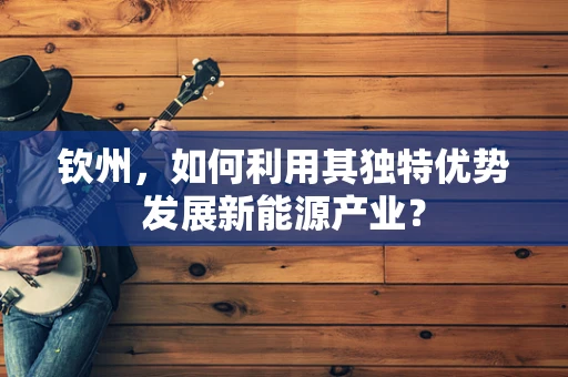 钦州，如何利用其独特优势发展新能源产业？