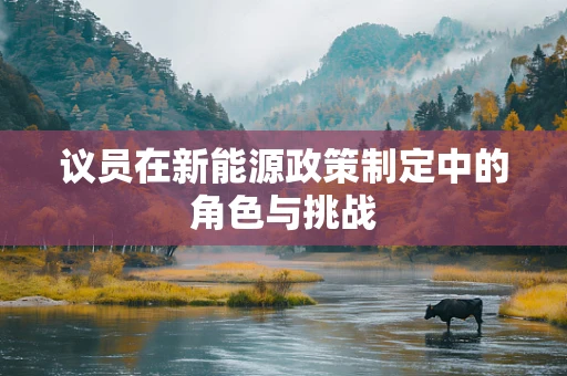 议员在新能源政策制定中的角色与挑战