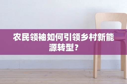 农民领袖如何引领乡村新能源转型？