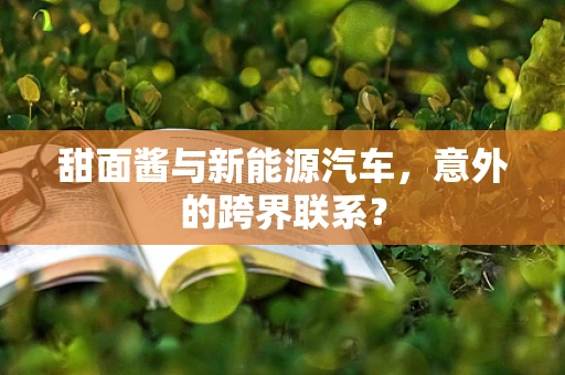 甜面酱与新能源汽车，意外的跨界联系？