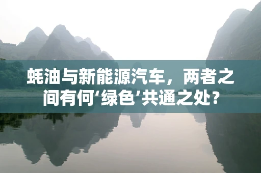 蚝油与新能源汽车，两者之间有何‘绿色’共通之处？