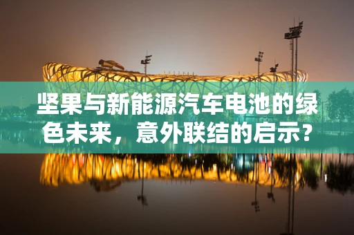 坚果与新能源汽车电池的绿色未来，意外联结的启示？