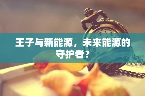 王子与新能源，未来能源的守护者？