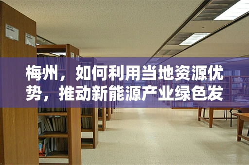 梅州，如何利用当地资源优势，推动新能源产业绿色发展？