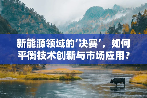 新能源领域的‘决赛’，如何平衡技术创新与市场应用？